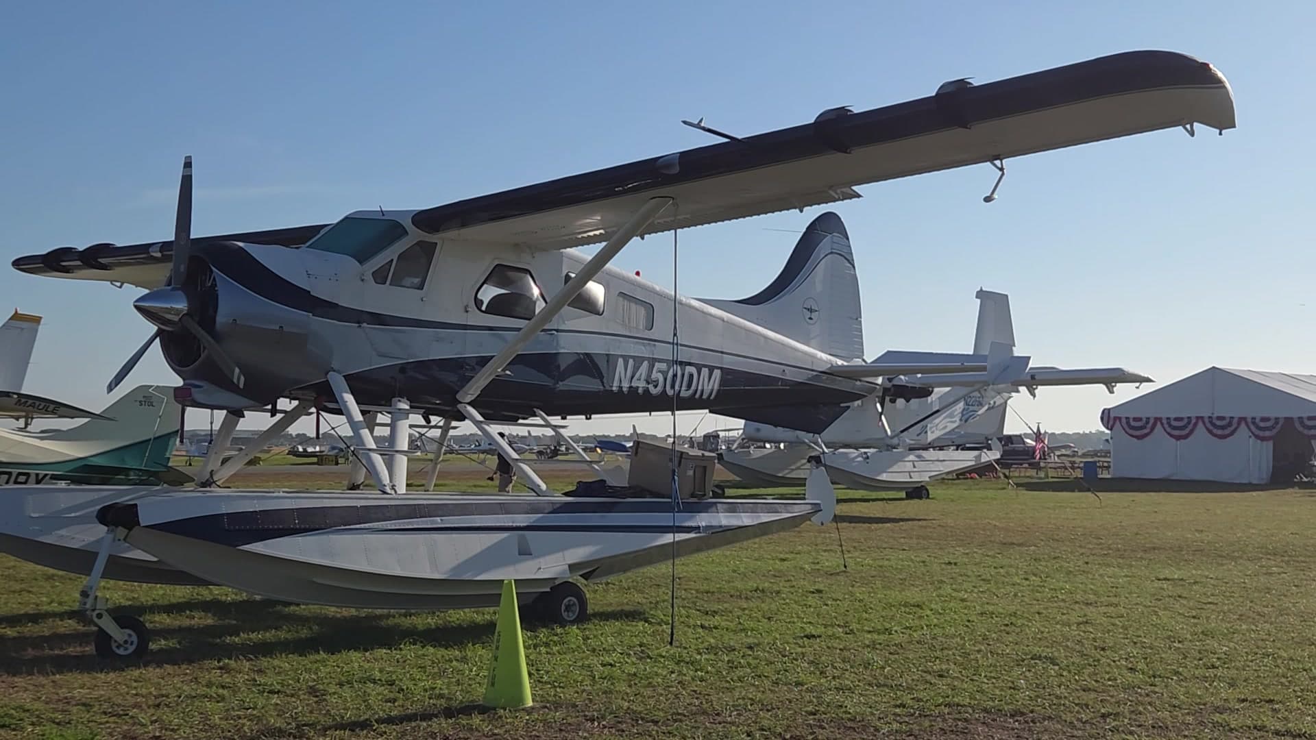 N450DM - Dehavilland DHC-2