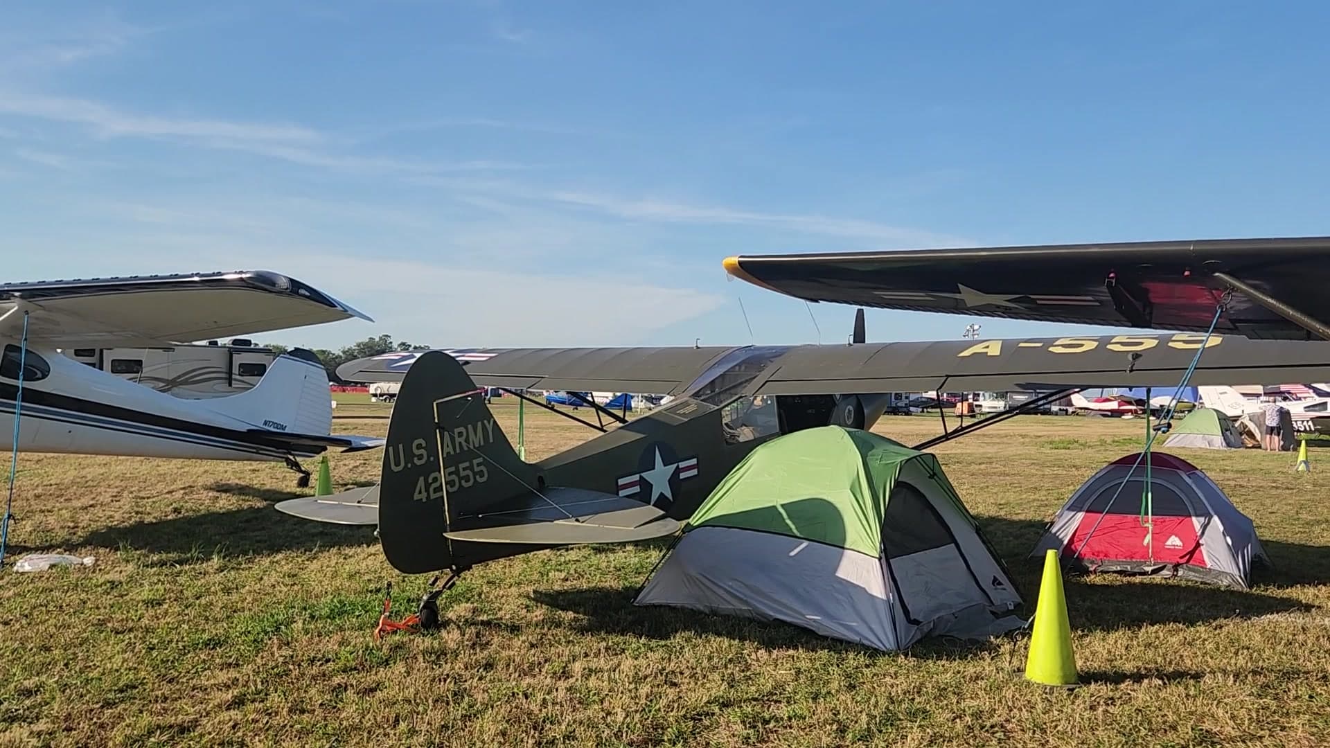 42555 - Piper L-4 Grasshopper