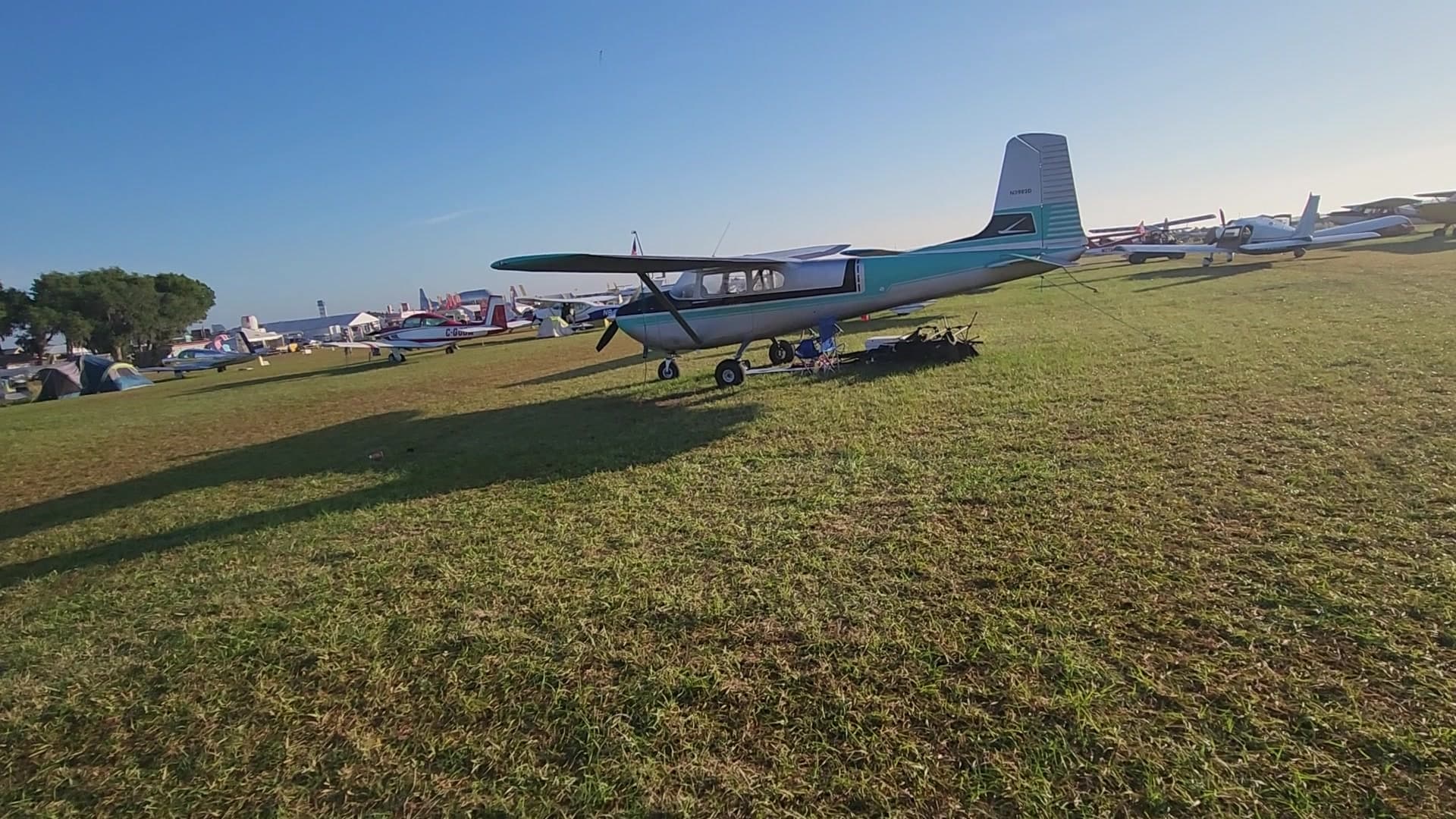 N3982D - Cessna 182A
