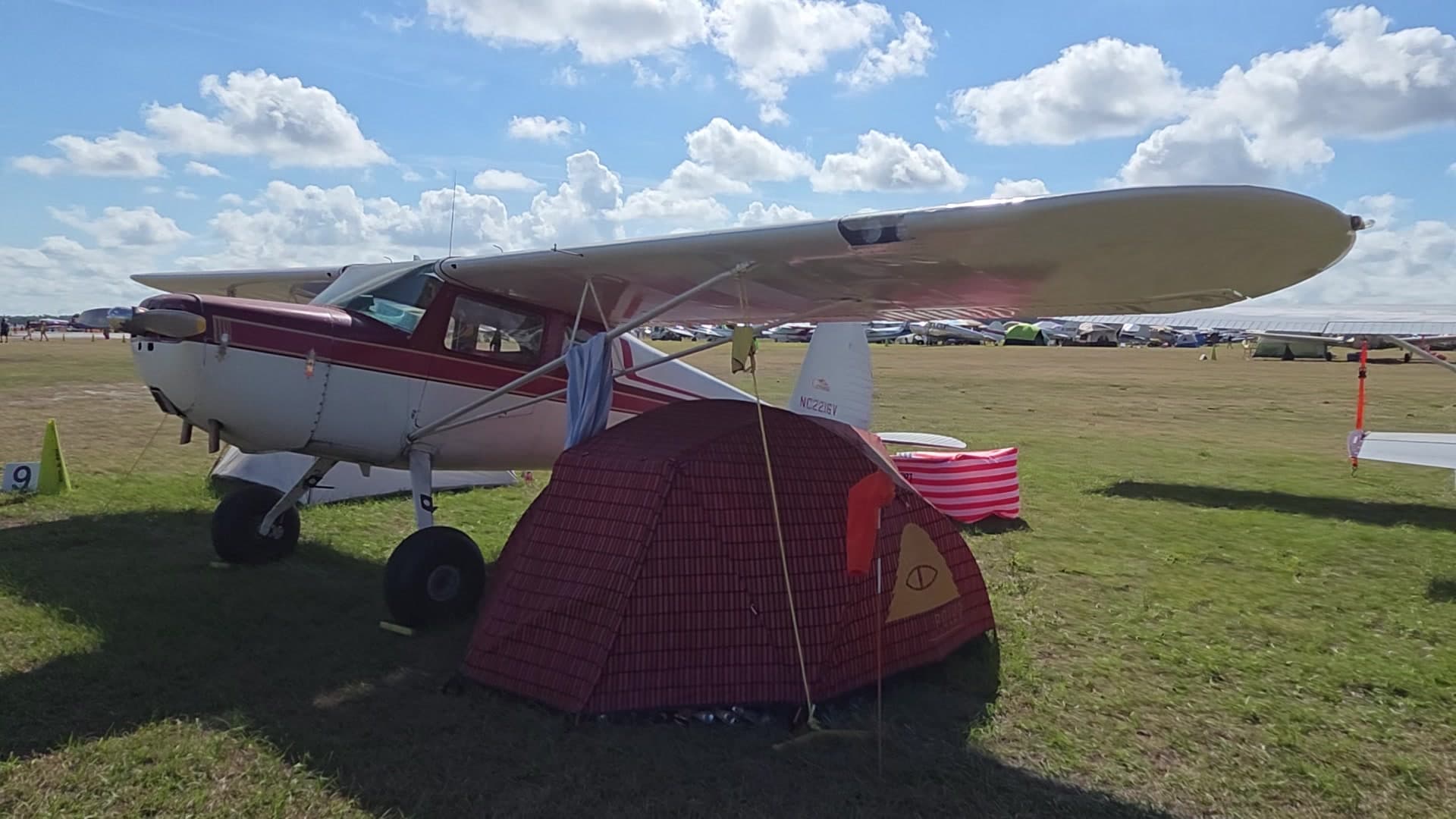 N2219V - Cessna 170B