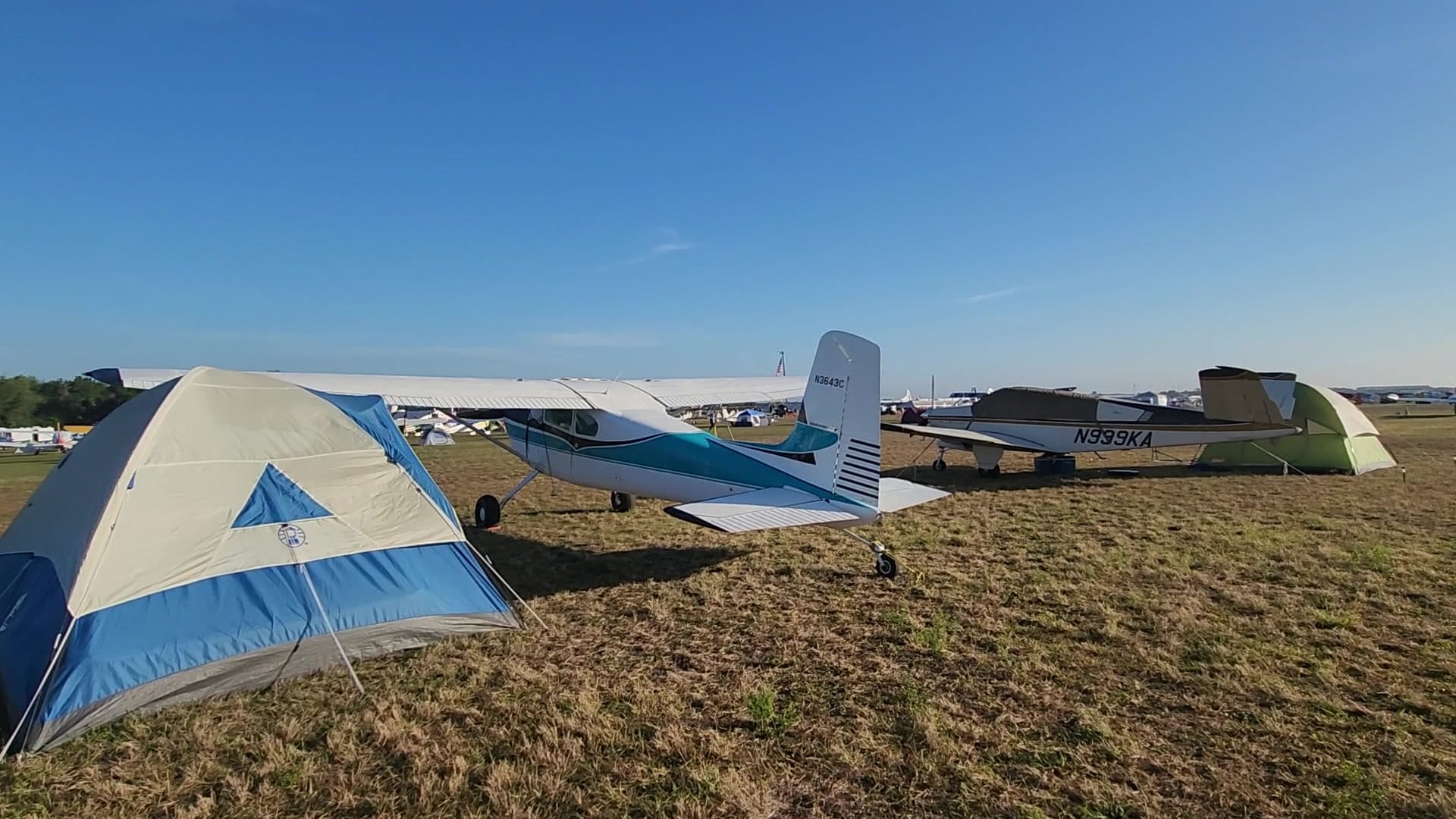N3643C - Cessna 180